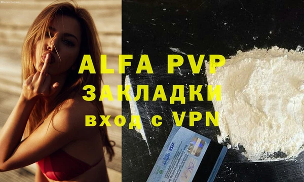 сатива Алзамай