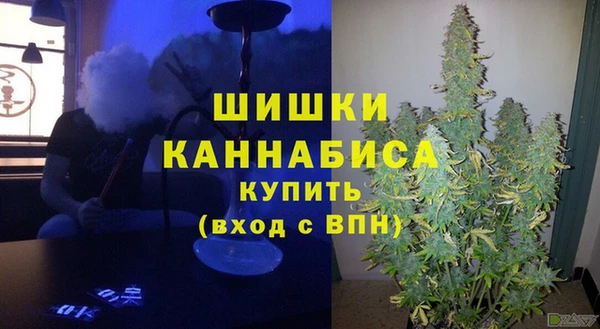 сатива Алзамай