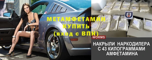 сатива Алзамай