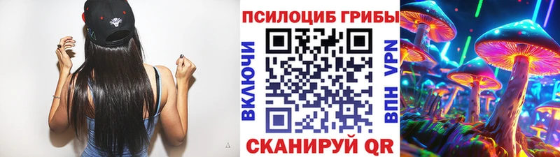 Псилоцибиновые грибы прущие грибы  Гаджиево 