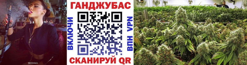 Марихуана план Гаджиево